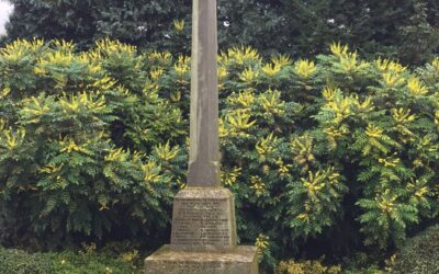 Home 11 Exploring the Poignant War Memorials of Worcester